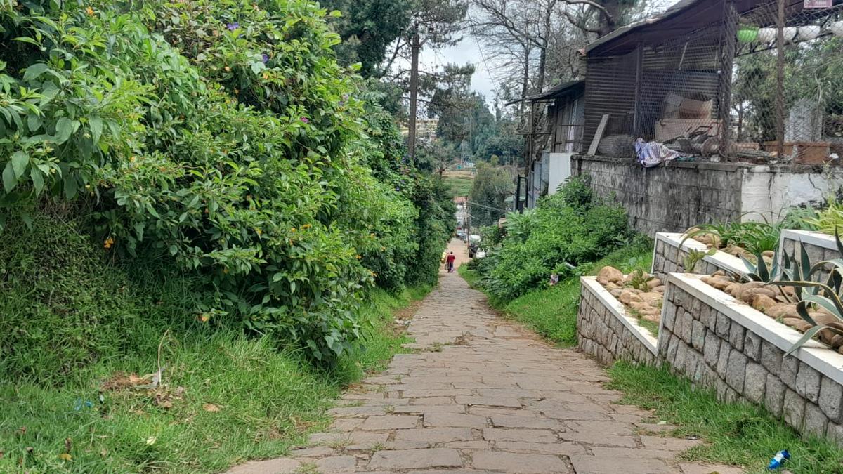 Ooty’s bridle paths Disappearing legacy of the British town planners